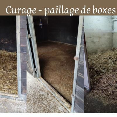 Curage - paillage de boxes