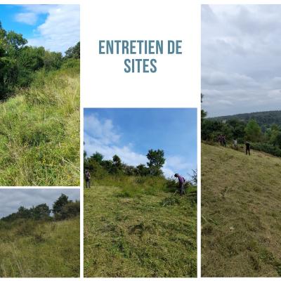 Entretien d'espaces verts