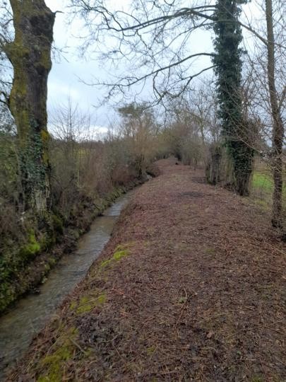 Entretien de fossés