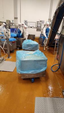 276174840 650877965987260 3500515251608697628 n