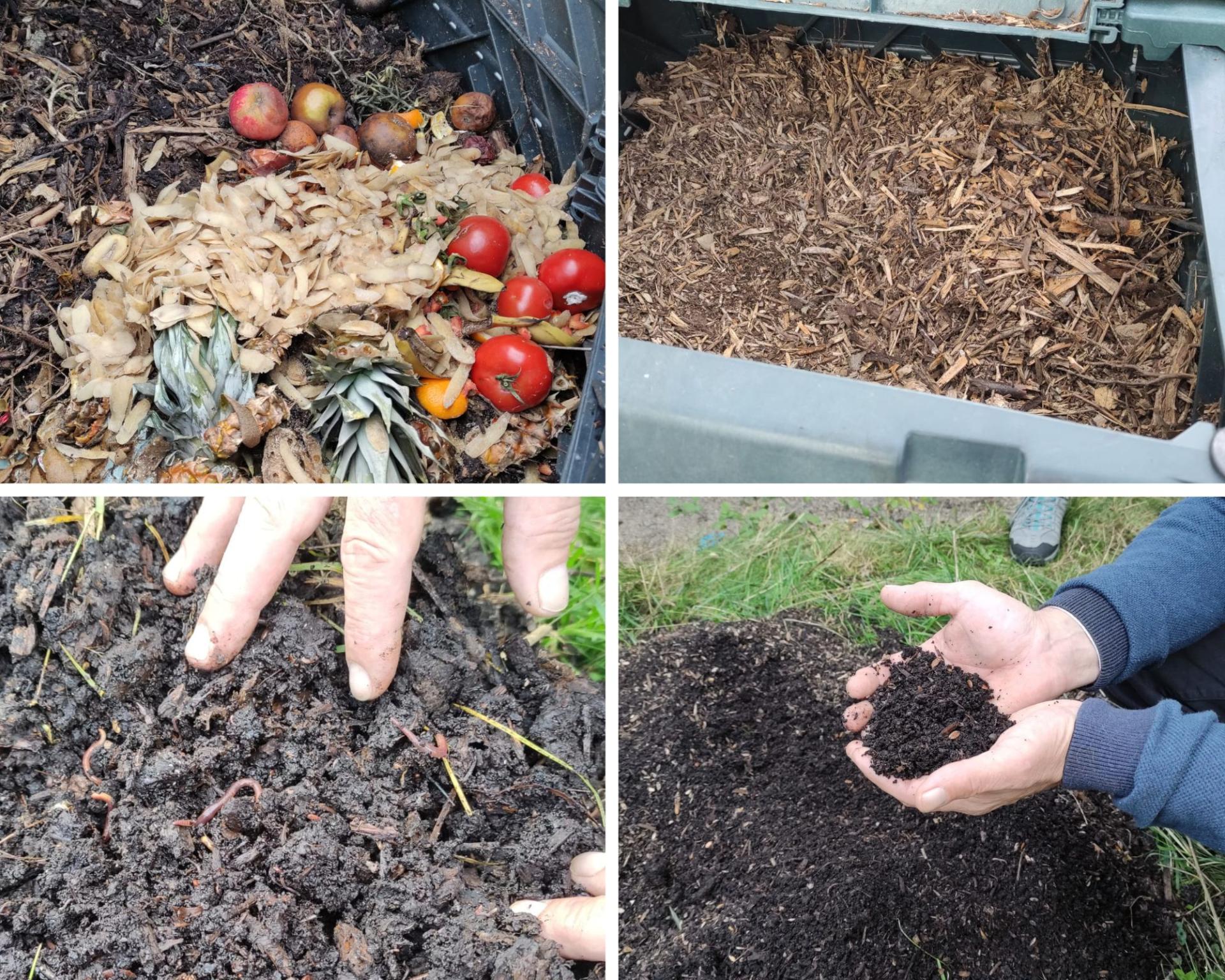 Design sans titre 2025 10 29t120516 385