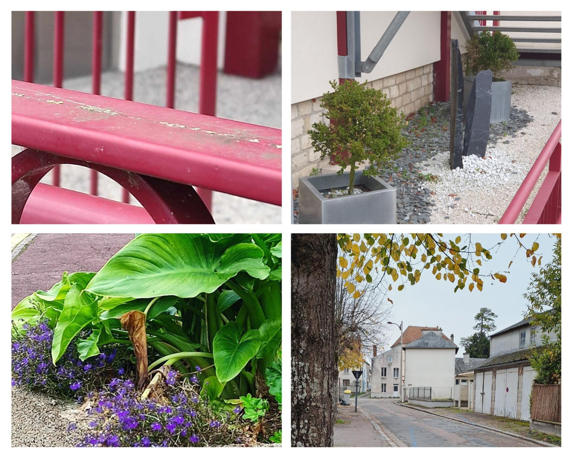 Montage photo 1
