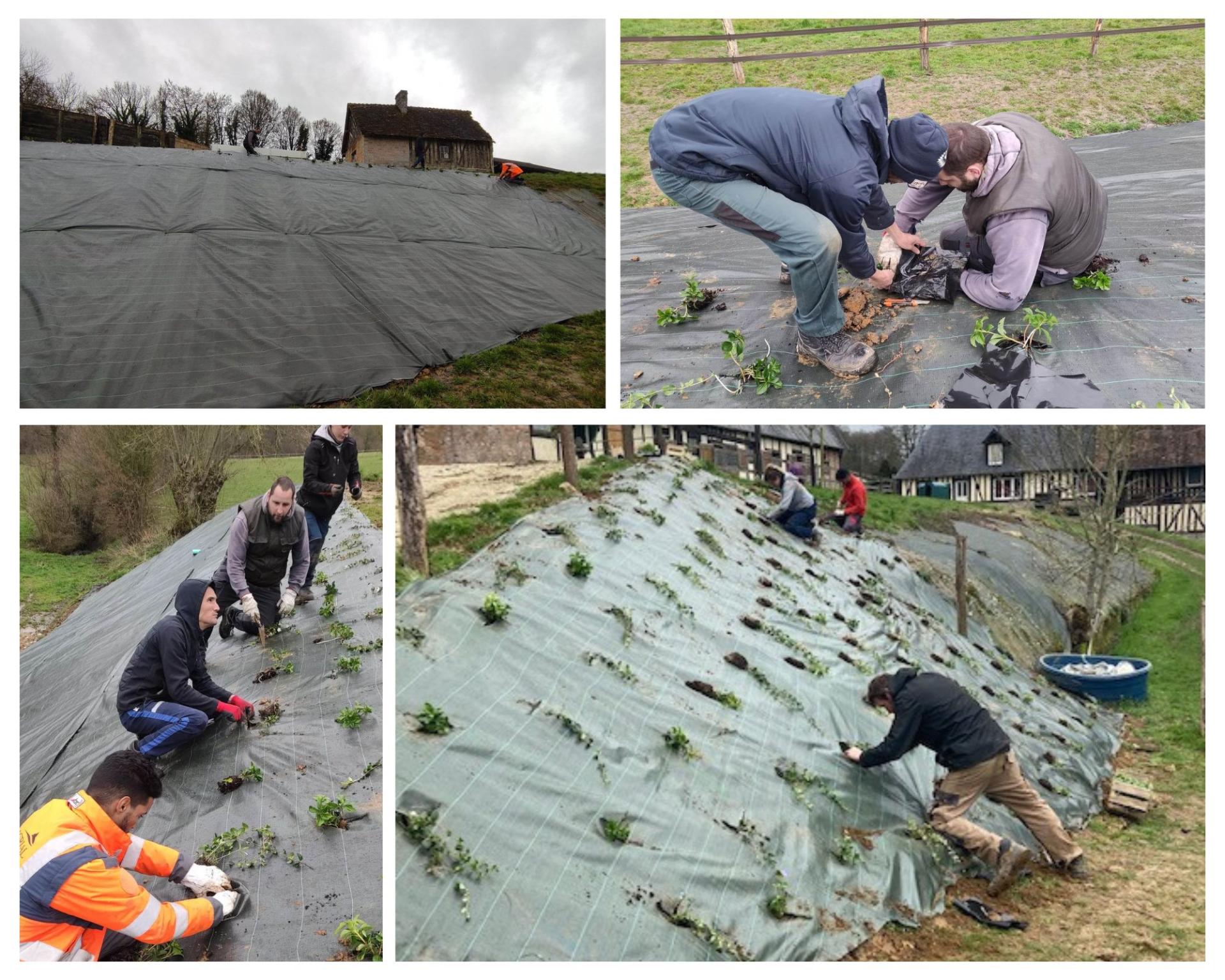 Travaux de printemps